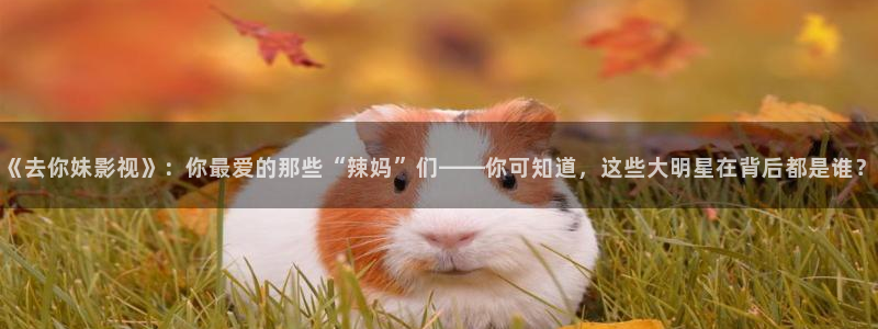 青苹果私人影院无毒不卡：《去你妹影视》：你最爱的那些“辣妈”们——你可知道，这些大明星在背后都是谁？
