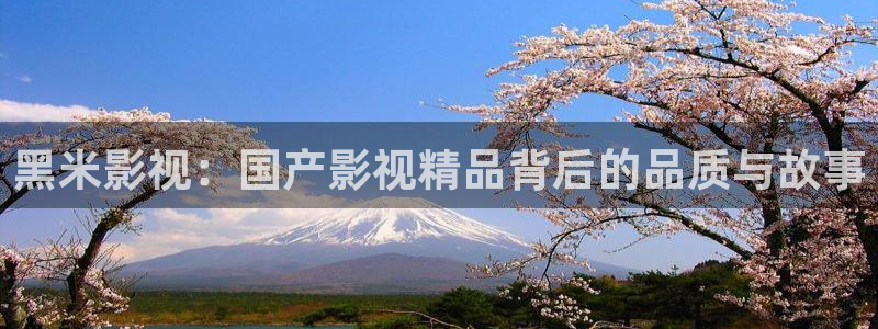 青苹果影院大全免费：黑米影视：国产影视精品背后的品质与故事
