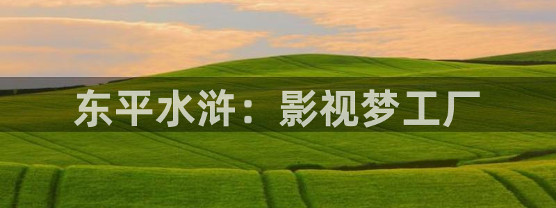 y4480青苹果影院：东平水浒：影视梦工厂