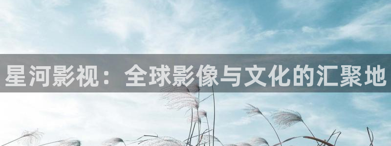 y y4460青苹果影院