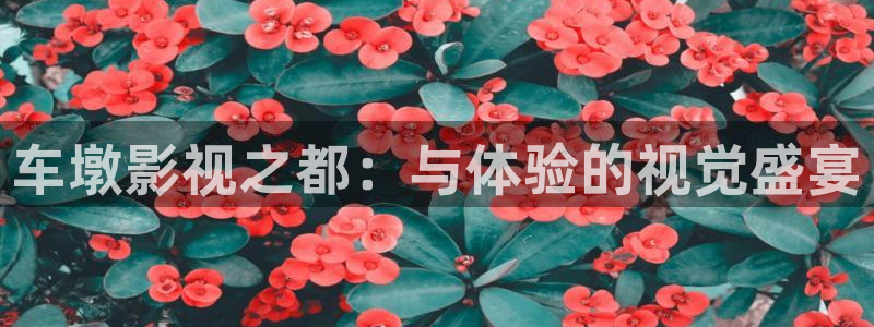 青苹果影院新生：车墩影视之都：与体验的视觉盛宴