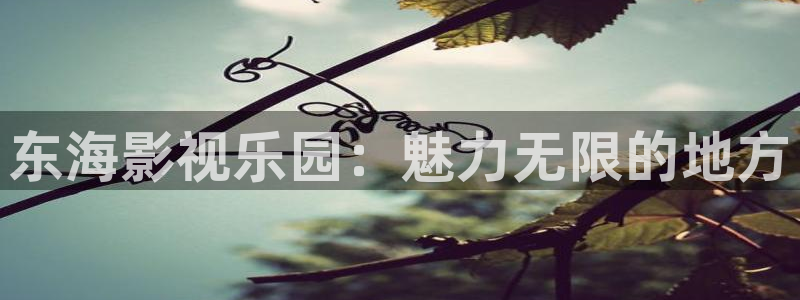ay44青苹果影院：东海影视乐园：魅力无限的地方