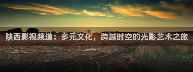 4480青苹果影院私人：陕西影视频道：多元文化，跨越时空的光影艺术之旅
