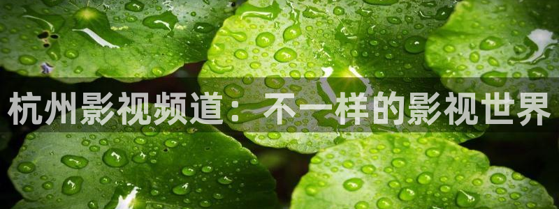 青苹果影城