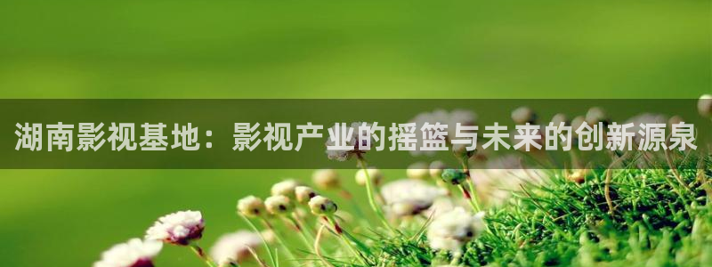 影院青苹果：湖南影视基地：影视产业的摇篮与未来的创新源泉
